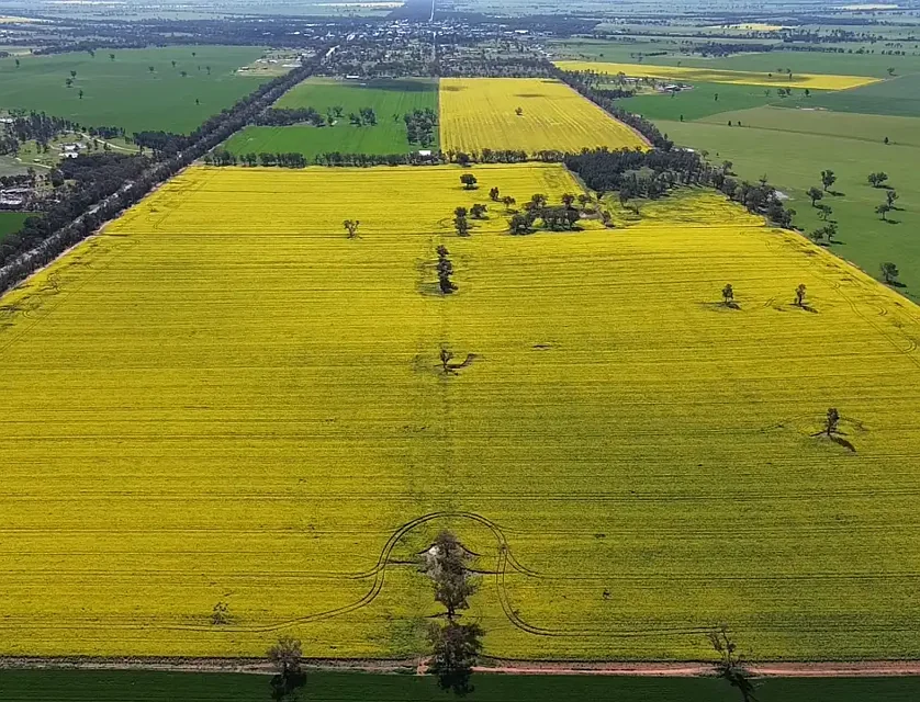 2 Coolamon Road, Coolamon, NSW 2701, 0 غرف, 0 حمامات, Lifestyle Property