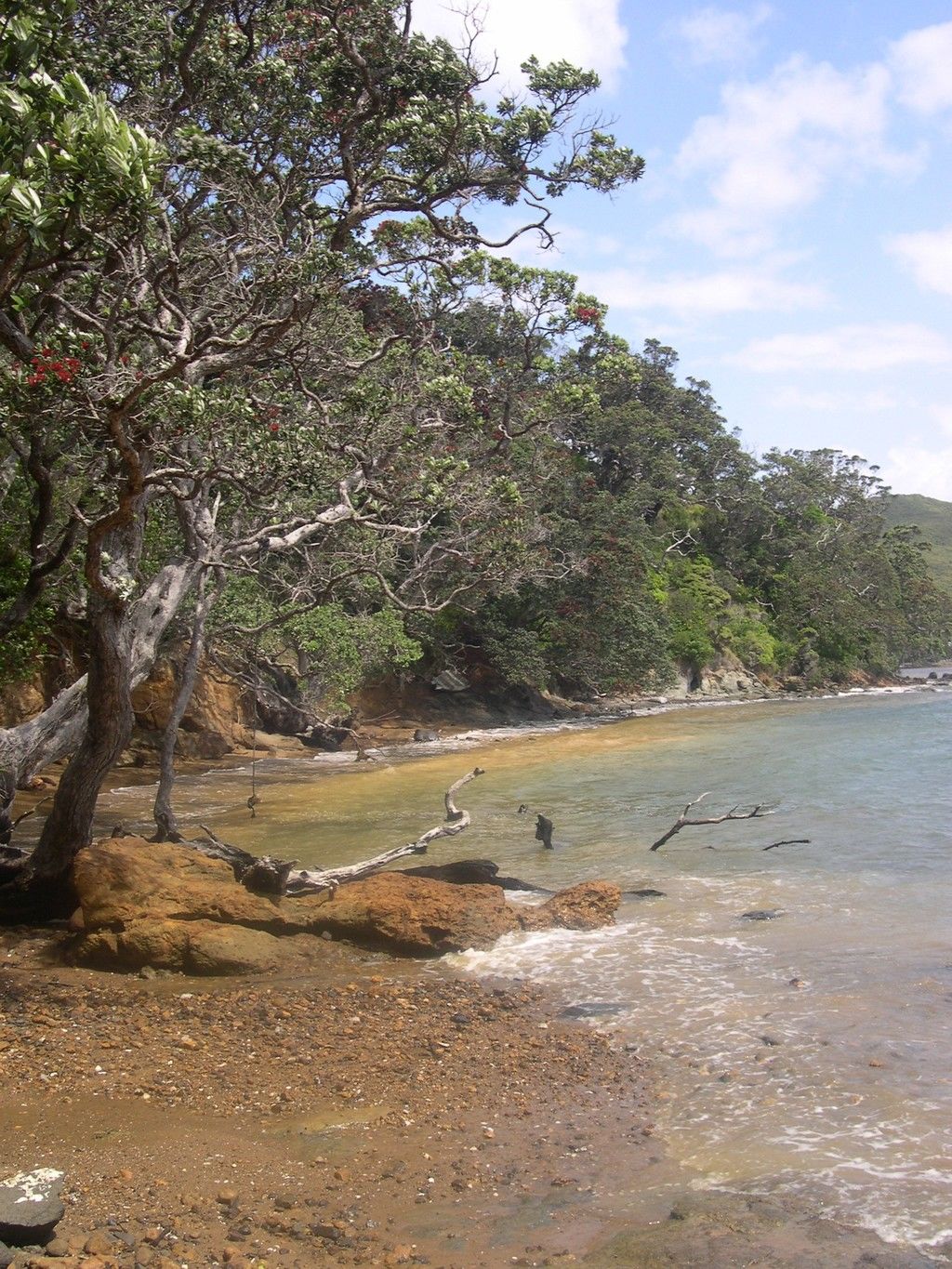 179 Shoal Bay Road, Great Barrier Island (Aotea Island), Auckland, 7房, 7浴