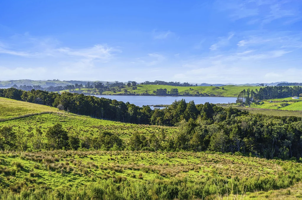 Matakohe  Secure Your Slice of the Kaipara