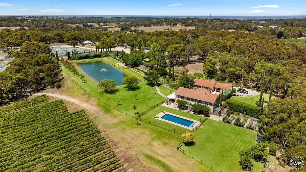 Macclesfield Adelaide Hills Prestige House and Vineyard | 35.21ha | 87 Acres
