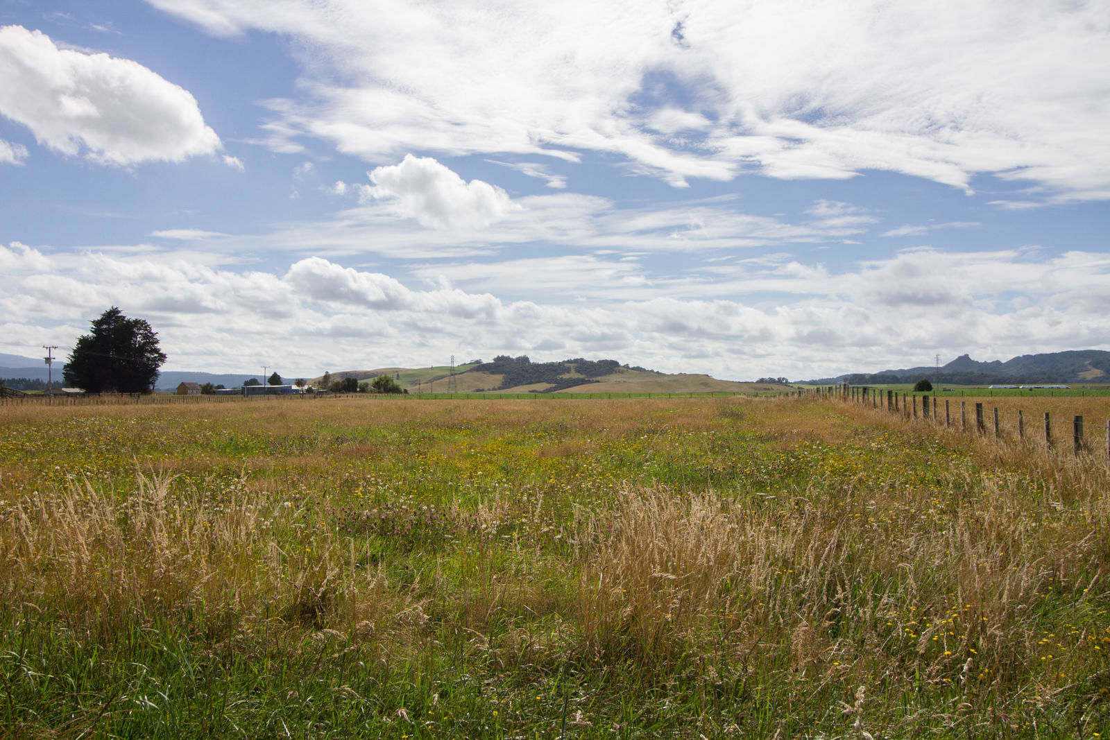 2138 Oruakukuru Road, Tangiwai, Ruapehu, 3 침실, 0 욕실