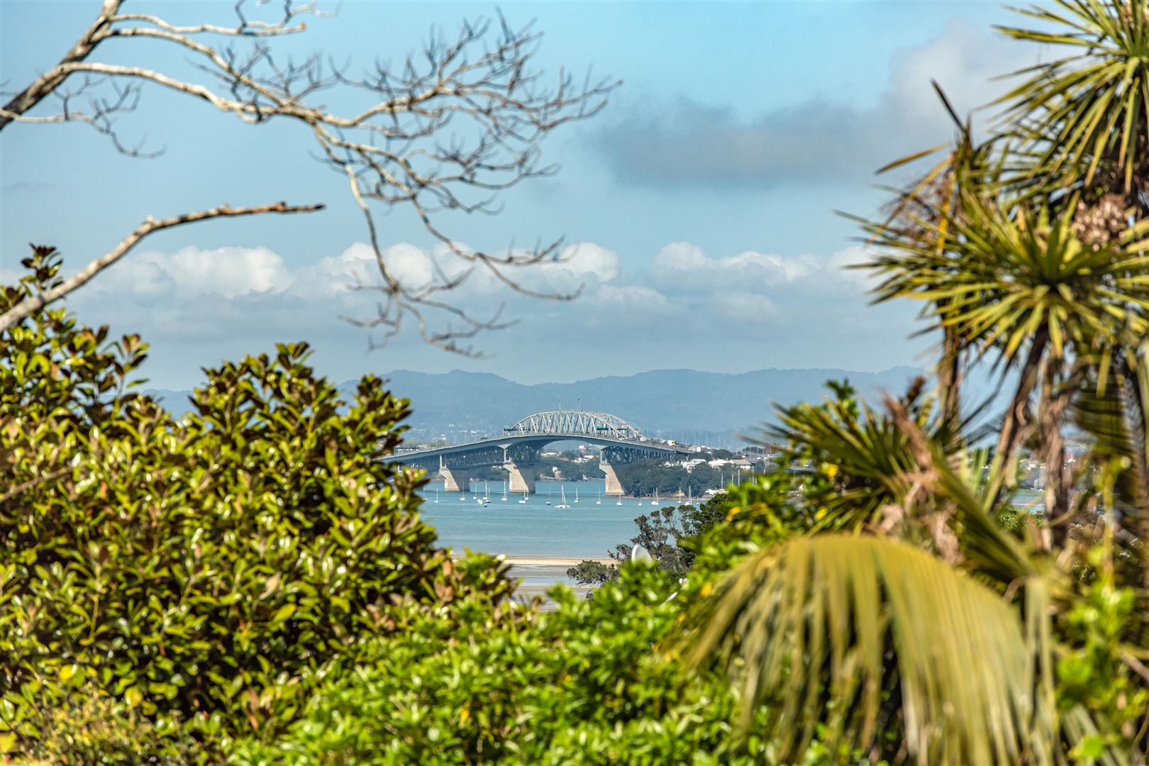 4a Northumberland Avenue, Belmont, Auckland - North Shore, 4房, 0浴