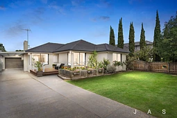 41 Charmaine Avenue, Avondale Heights