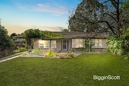 41 Johnson Drive, Glen Waverley