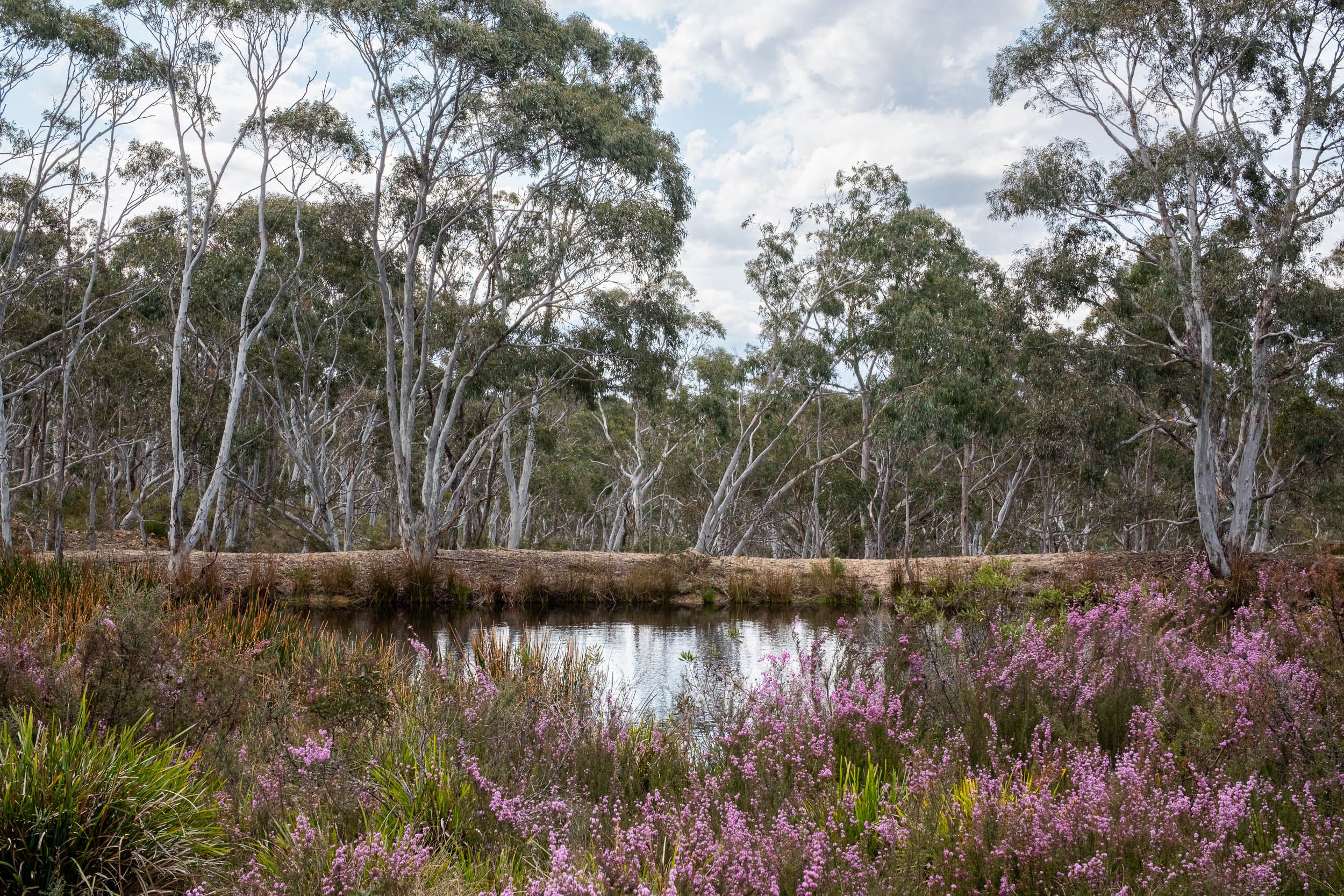 154 NERRIMUNGA CREEK RD, WINDELLAMA NSW 2580, 0房, 0浴, Lifestyle Property