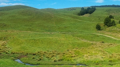 Okokako Road, Waimate North, Far North District, 0房, 0浴, Lifestyle Section
