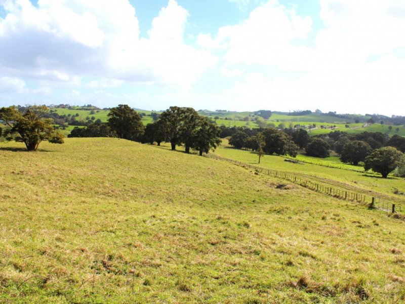 Rodney Street, Wellsford, Auckland - Rodney, 0房, 1浴