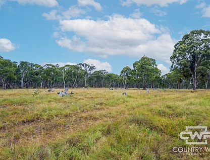 LOT 215 New England Highway, Deepwater, Tamworth, 0 Bedrooms, 0 Bathrooms, Lifestyle Property