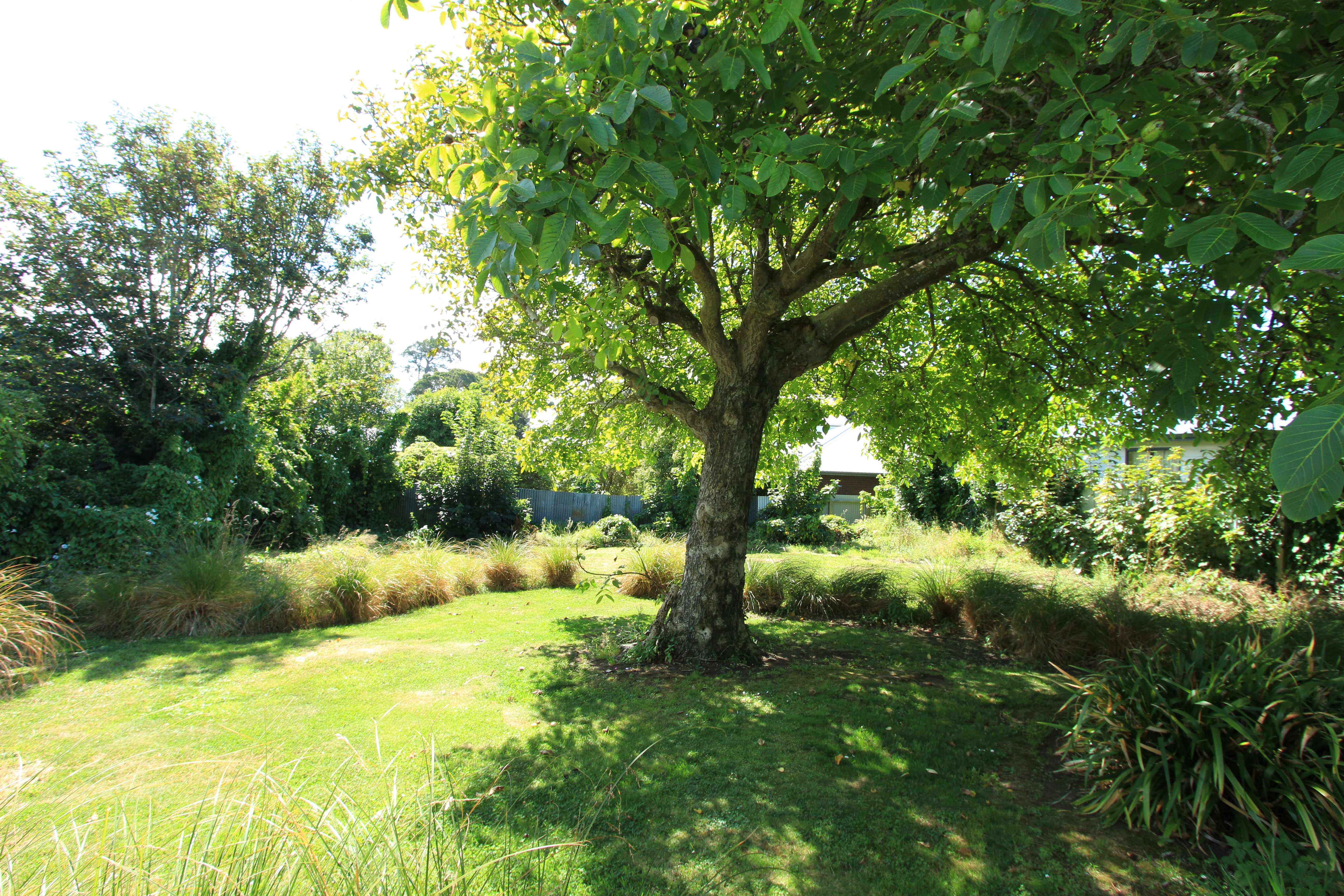 156 Eye Street, Appleby, Invercargill, 4 rūma, 0 rūma horoi