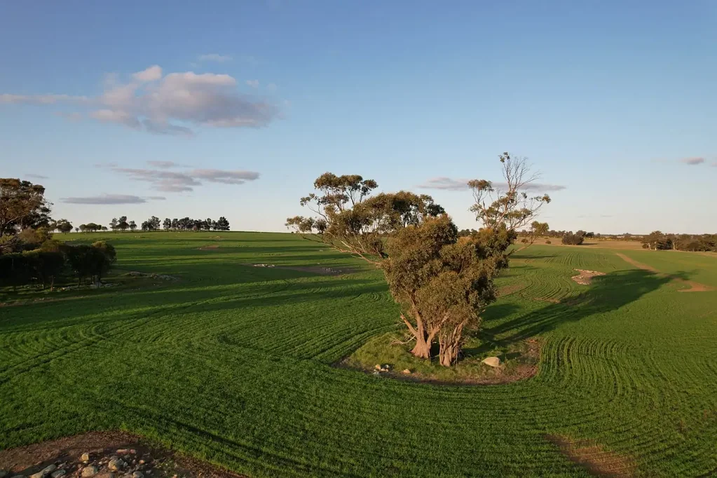 Woodanilling  Rural Lifestyle Wagin