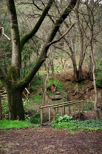158 Waterfall Gully Road, Waterfall Gully, SA 5066, 0 slaapkamers, 0 badkamers, Section