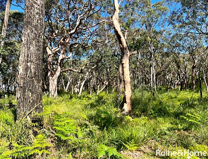Lot 30 Sec 4 DP 2644 Tarawa Road, Helensburgh, Wollongong - Greater Region, 0 રૂમ, 0 બાથરૂમ, Section