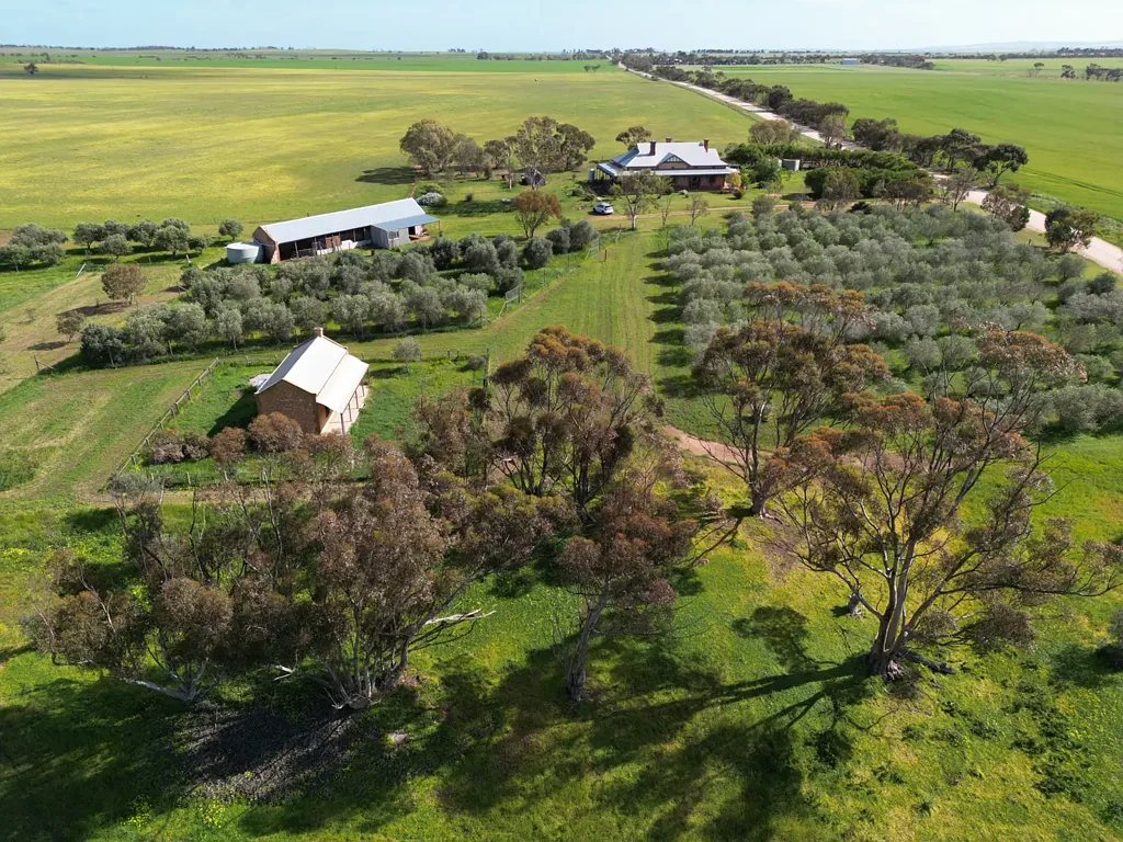 Barabba 201 Murphy Road Barabba