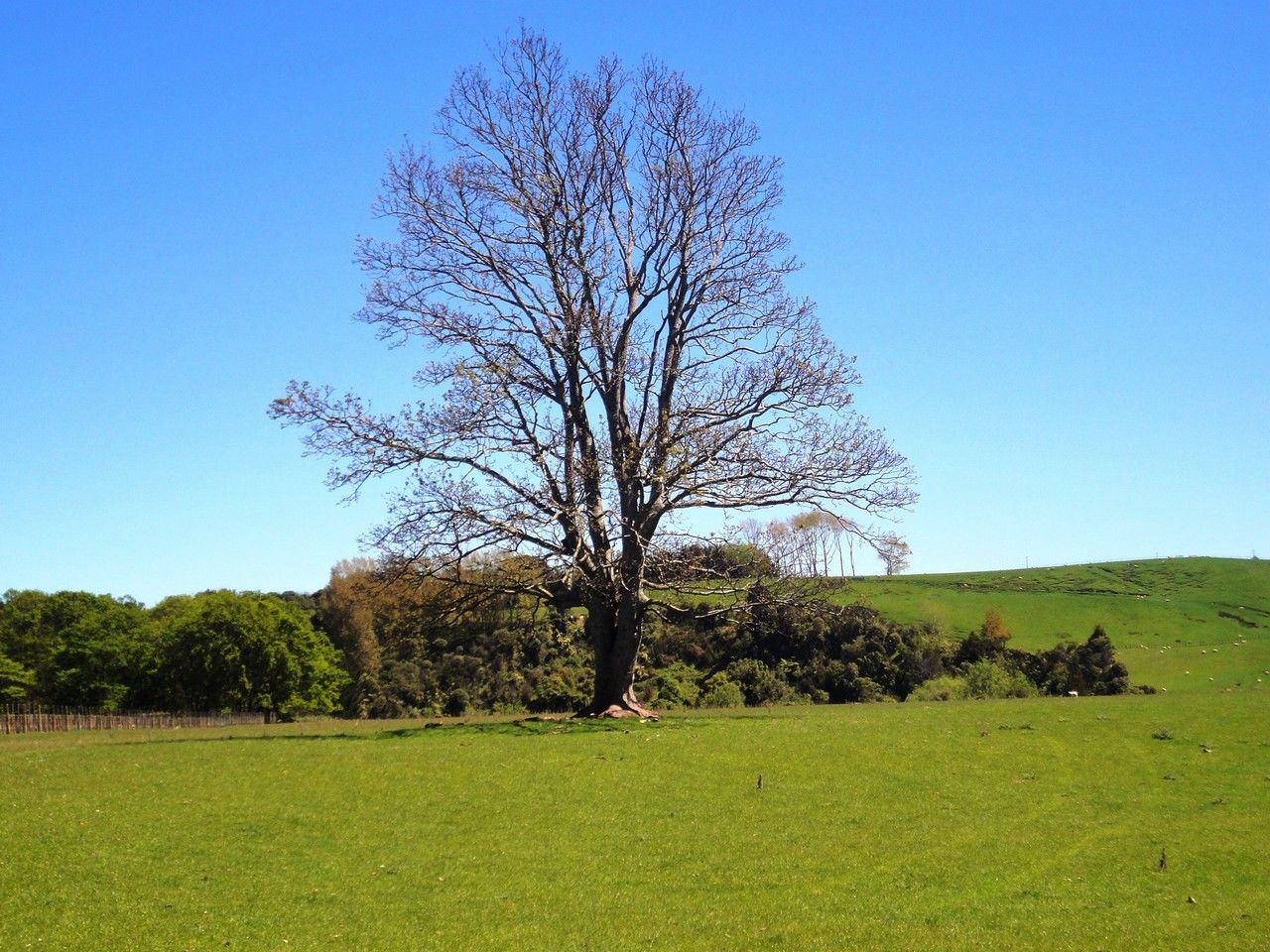 Waituna Tapuae Road, Waituna West, Manawatu, 0 phòng ngủ, 1 phòng tắm