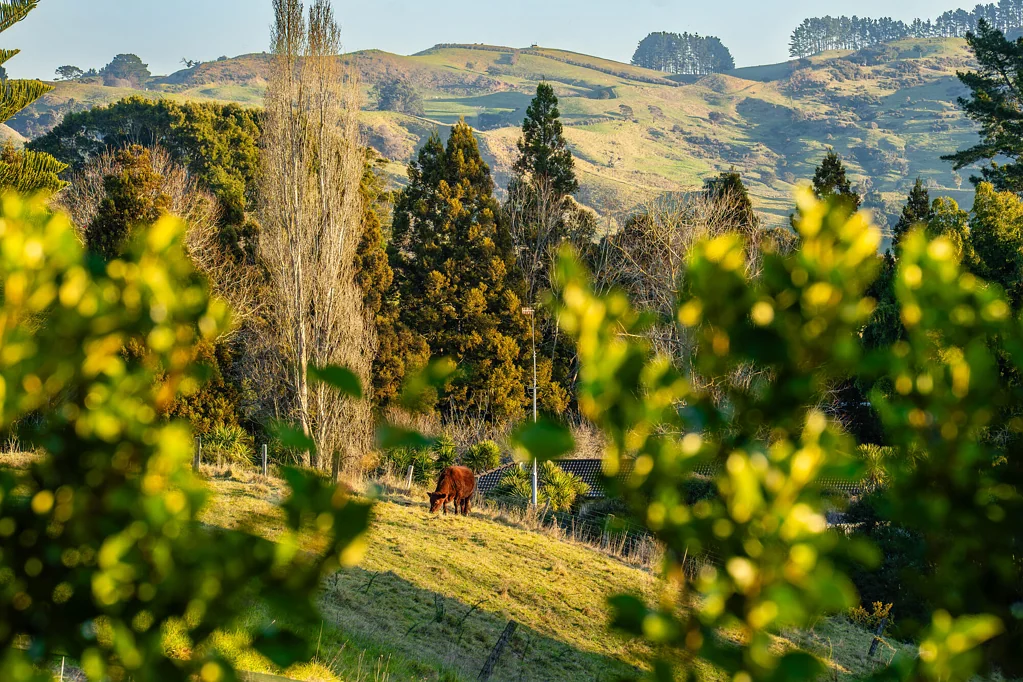 Tuakau 3 Bedroom JUST 12 KM TO SH1 AT BOMBAY - 3 convenient routes