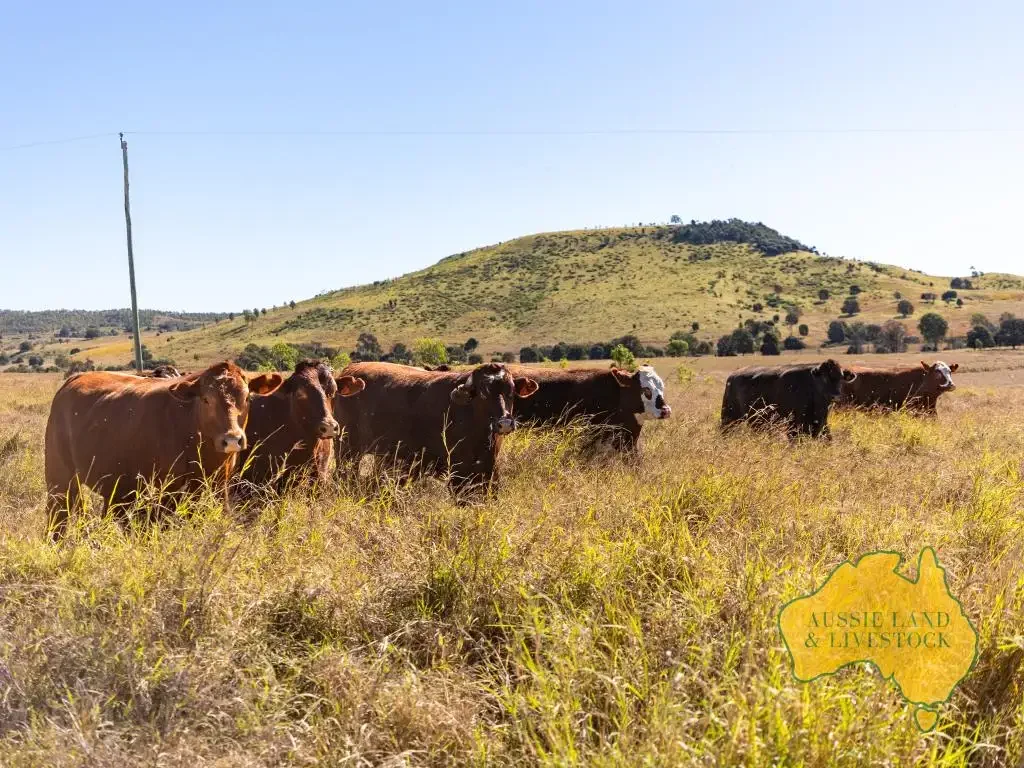 1278 TOP GURGEENA ROAD, Branch Creek, QLD 4625