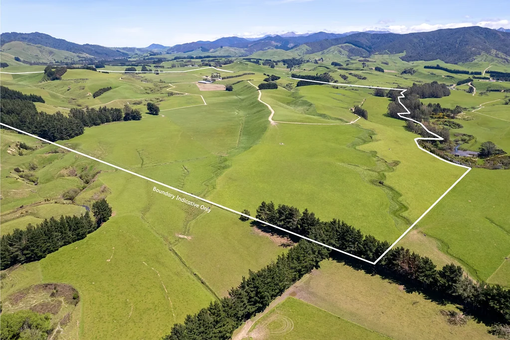 Eketahuna Ngatahaka - 230 ha