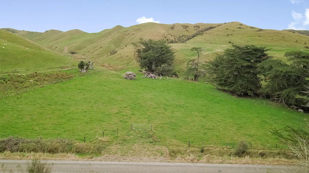 Eketahuna Affordable Bare Land Opportunity