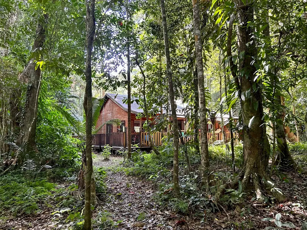 Daintree 1कमरा SECLUDED COTTAGE IN THE DAINTREE