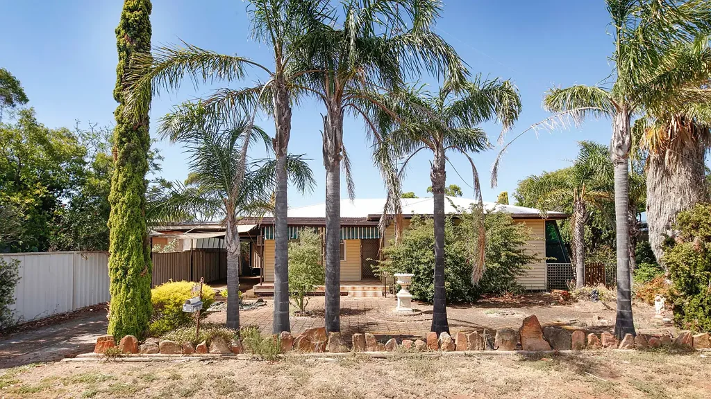 11 South Terrace, Cleve, SA 5640