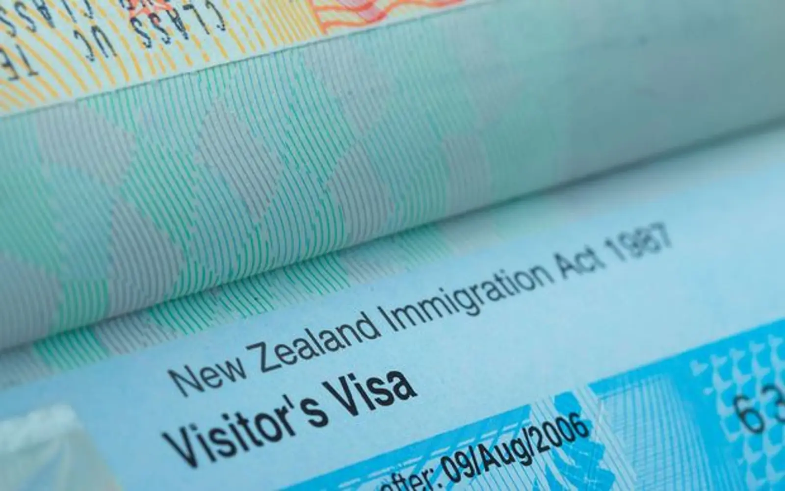 Kiwi网民呼吁禁止华人担任持牌移民顾问！