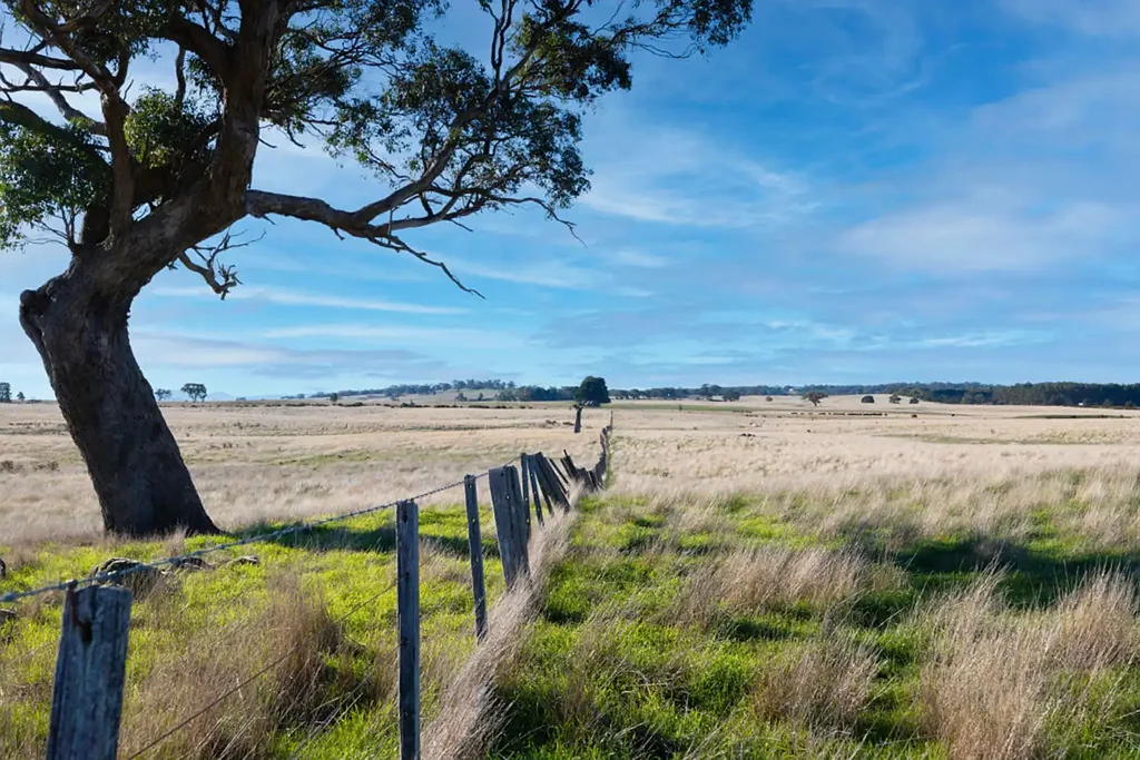 Snake Valley  Productive Farmland and Endless Lifestyle Potential