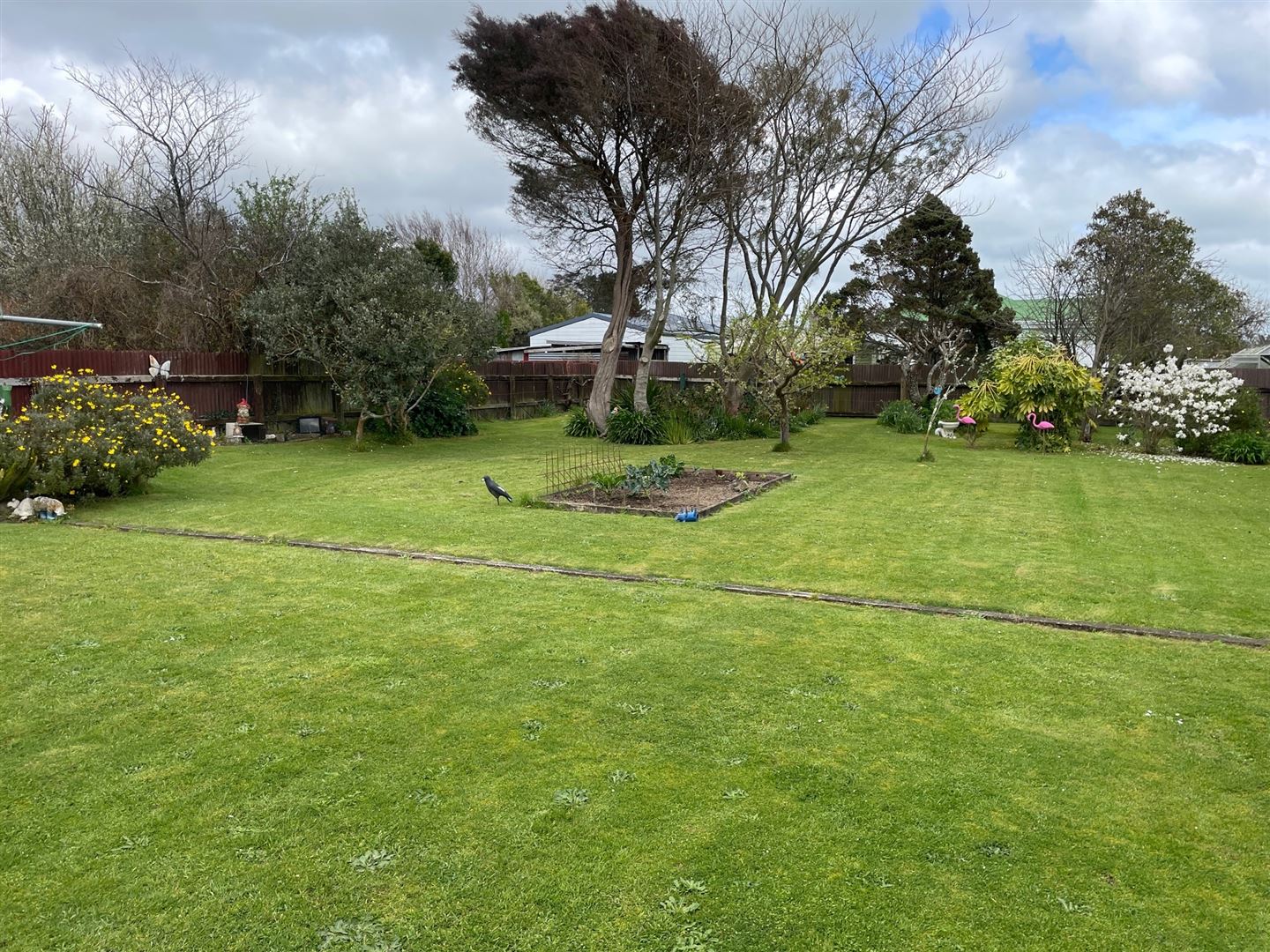 38 Ballance Street, Shannon, Horowhenua, 3房, 0浴, House