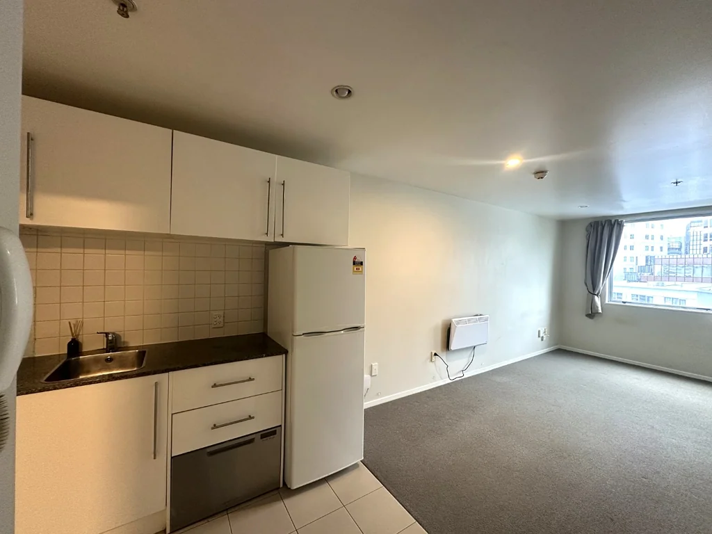 Central City Apartment