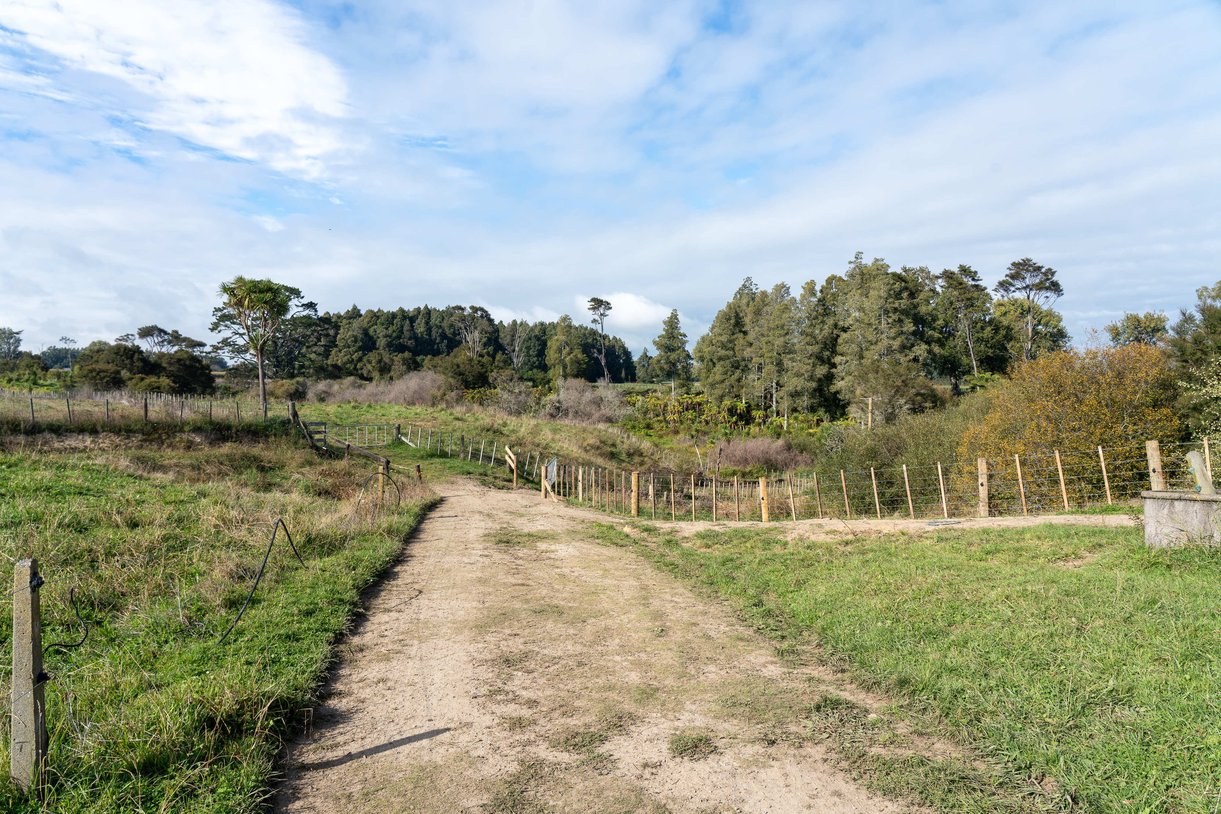 166 Crawford Road, Te Kowhai, Waikato, 0 chambres, 0 salles de bain, Lifestyle Section