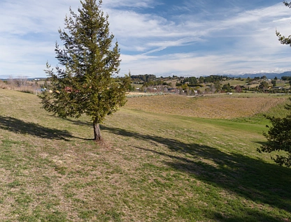 17 Pippin Lane, Ruby Bay, Tasman, 0 Kuwarto, 0 Banyo, Lifestyle Section