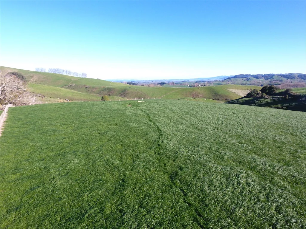 644B Bayley Road, Te Awamutu, Waikato