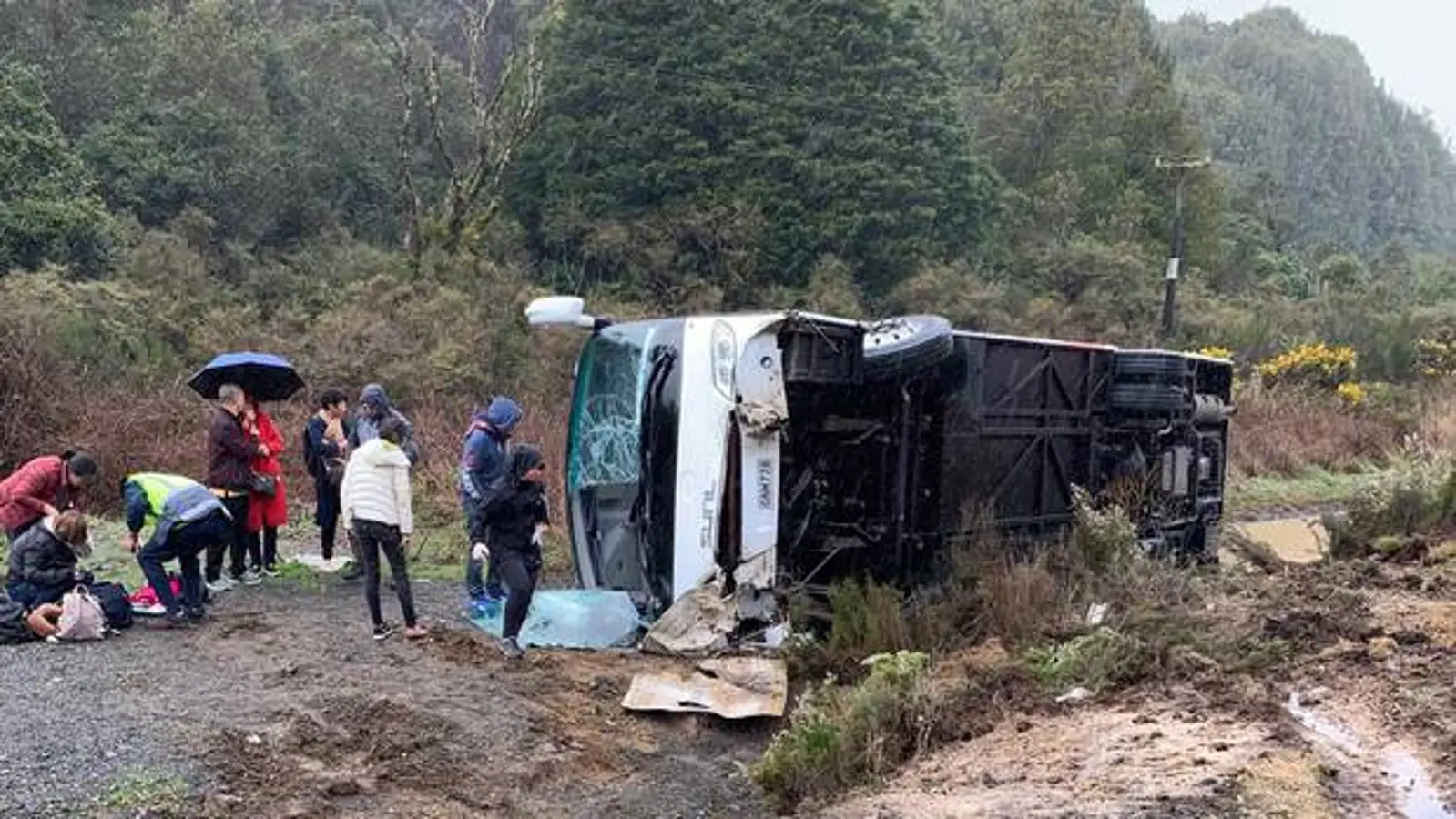 中国旅行团车祸当事司机被提起诉讼!今日在奥克兰区法庭受审