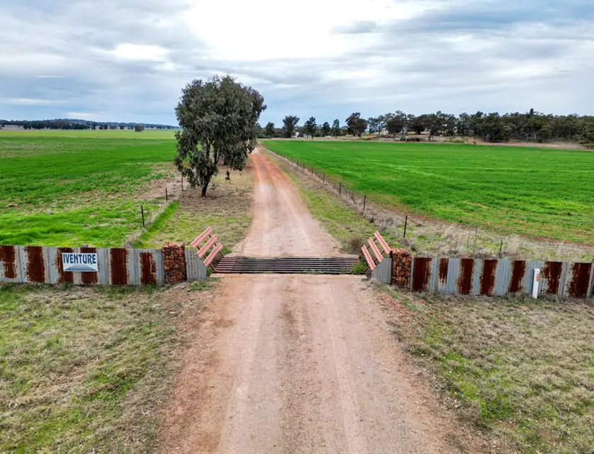'IVENTURE' 1100 Paynes Road, Tallimba, Riverina, 4 침실, 1 욕실, Lifestyle Property