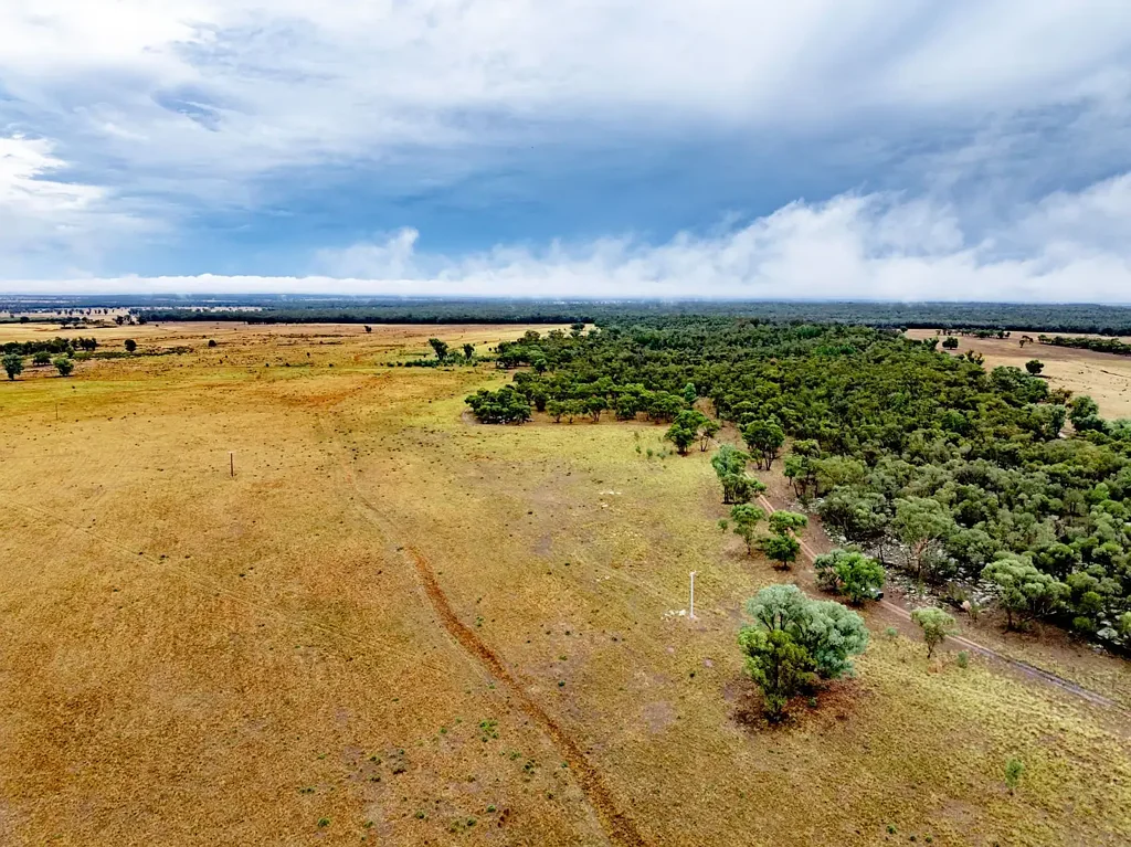 Parkes Buy Once, Buy Right - Central West Cropping & Grazing Country