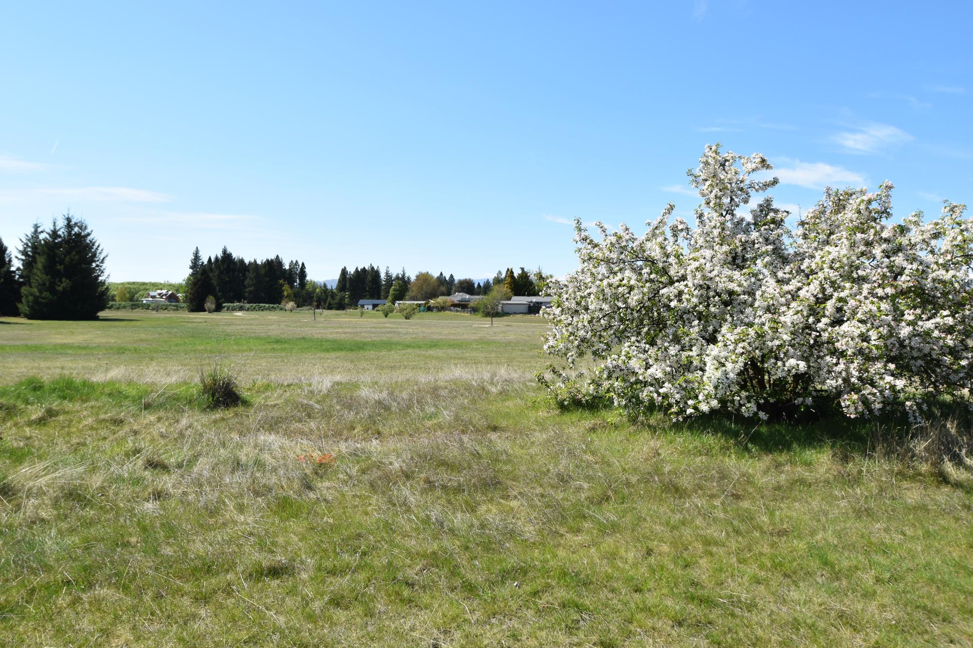 22 Glencairn Road, Twizel, Mackenzie, 0 rūma, 0 rūma horoi, Section