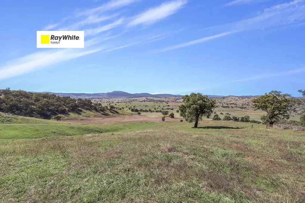 Adelong  Rural Acres 507.07Ha