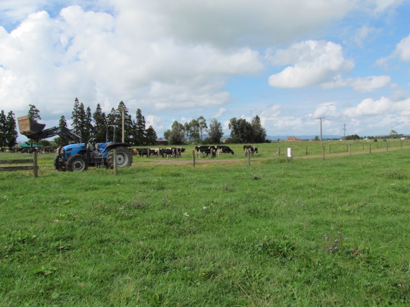 338 Greig Road, Matata, Whakatane, 0 રૂમ, 0 બાથરૂમ