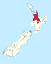 警报！Waikato租赁市场告急，房源飙升至两年新高，空置一天损失超百元！