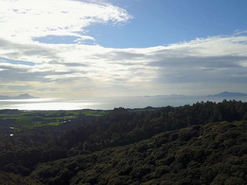 Massey Road, Waipu, Whangarei, 0 rūma, 1 rūma horoi