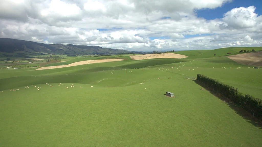 West Otago Surrounds  Rare West Otago opportunity
