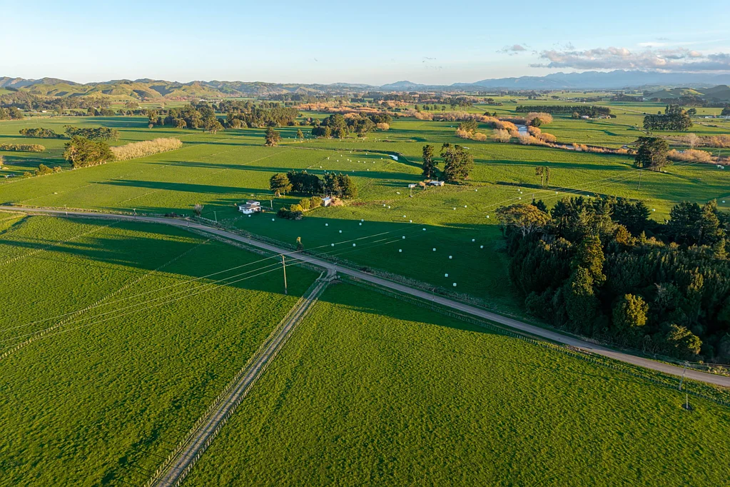 Pahiatua  Your piece of the countryside