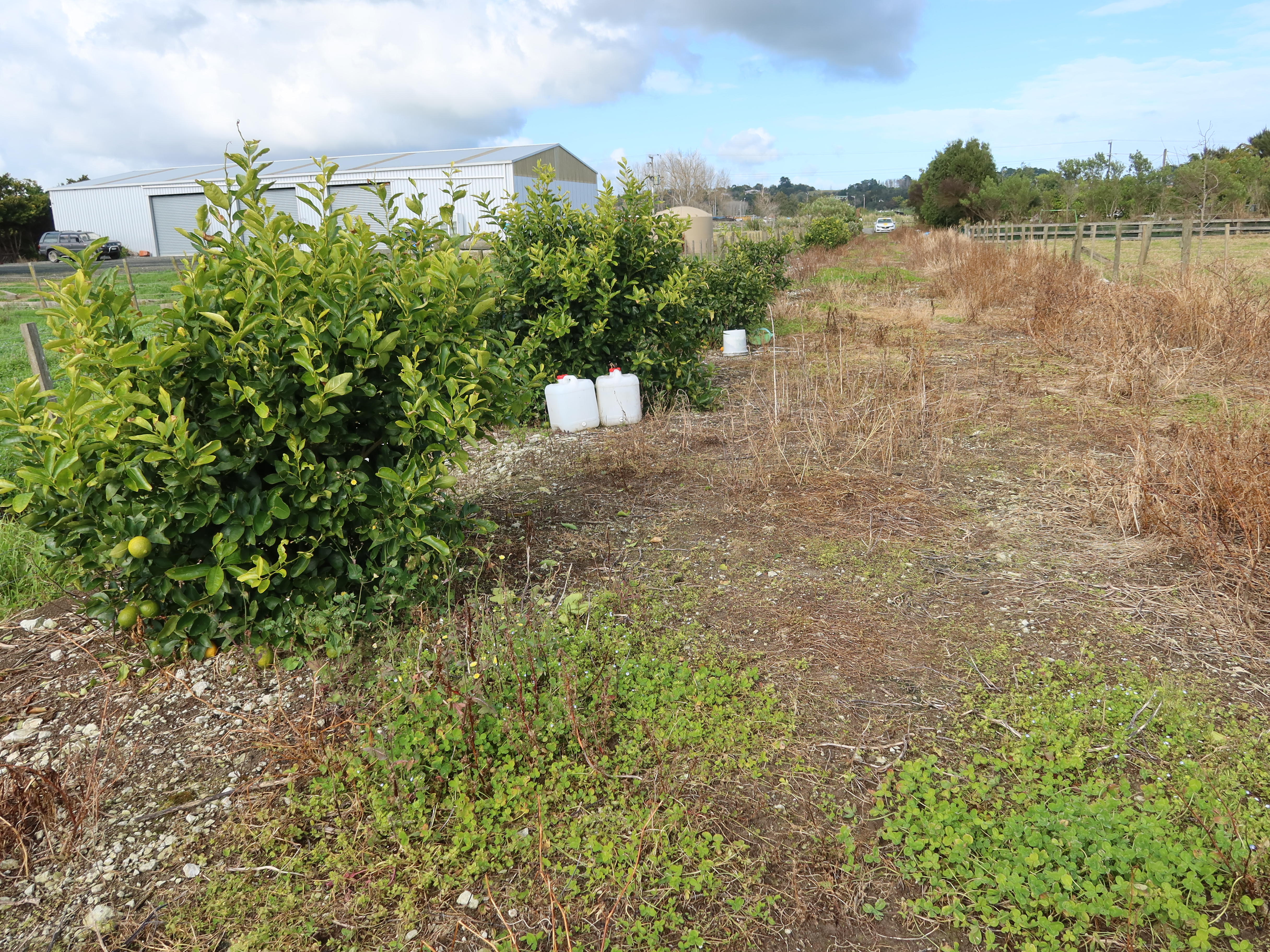 72 Beach Road, Dargaville, Kaipara, 1 phòng ngủ, 0 phòng tắm