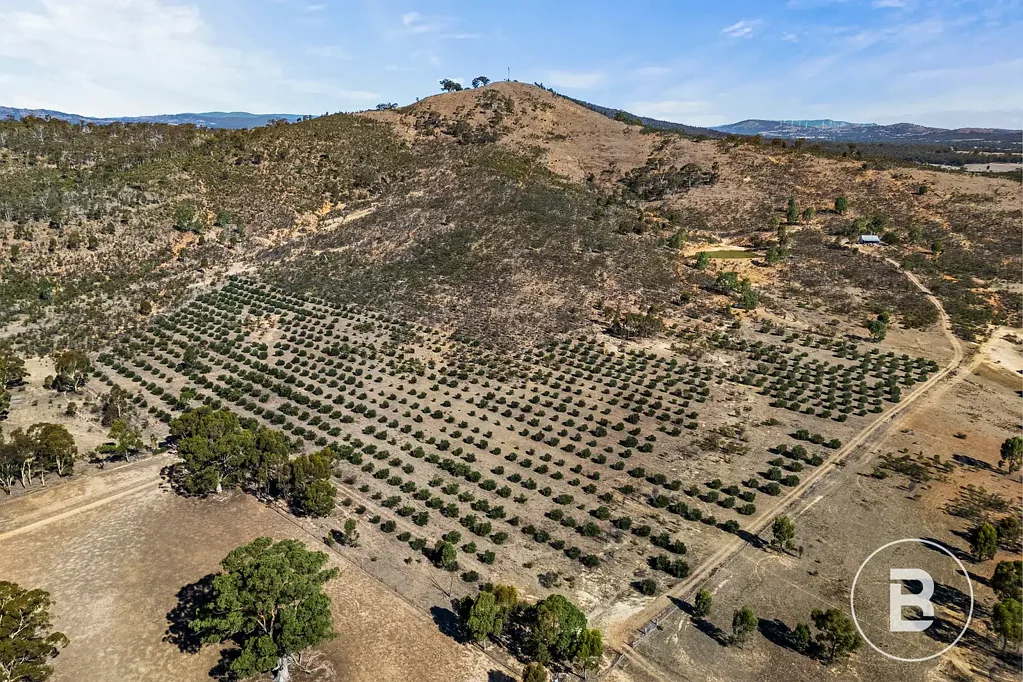 Navarre 3ਬੈੱਡਰੂਮ A Rare Opportunity in the Heart of the Pyrenees Ranges