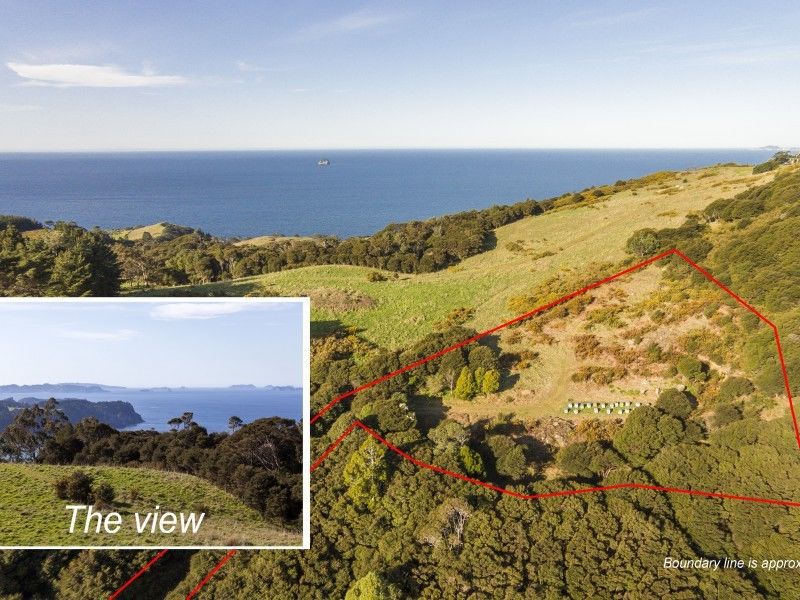 425l Boat Harbour Road, Whenuakite, Coromandel, 0 ਕਮਰੇ, 0 ਬਾਥਰੂਮ