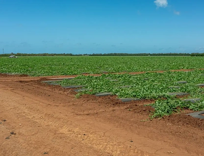 140 Riverview Road, Calavos, QLD 4670, 0 ਕਮਰੇ, 0 ਬਾਥਰੂਮ, Lifestyle Property