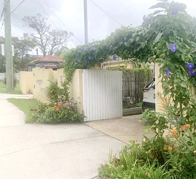 Frenchs Forest NSW 2086 -多个房间 分租