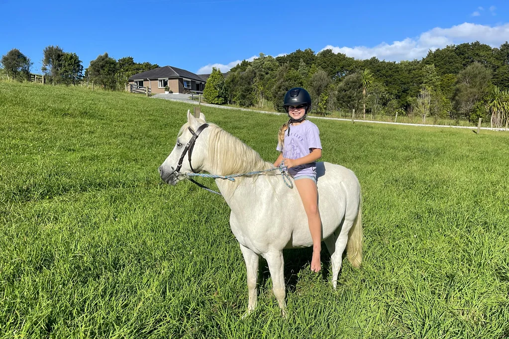 Wellsford Best lifestyle buy of 2026!?