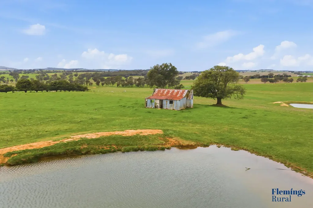 Bowning Productive Rural Property with Exceptional Homesite Potential