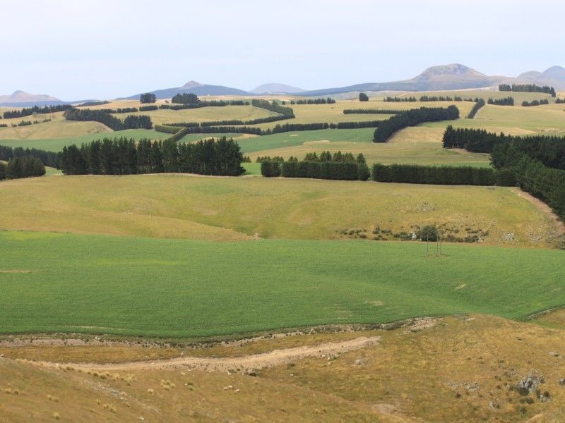 200 Philip Road, Palmerston, Waitaki, 0 habitaciones, 0 baños