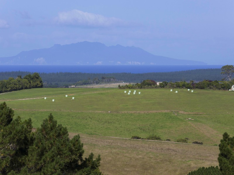 19 Cemetery Road, Maunu, Whangarei, 5 Kuwarto, 0 Banyo